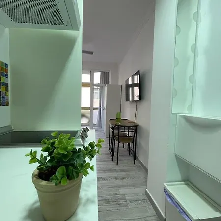 Palmeras 102 *