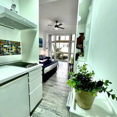Apartment Palmeras 102