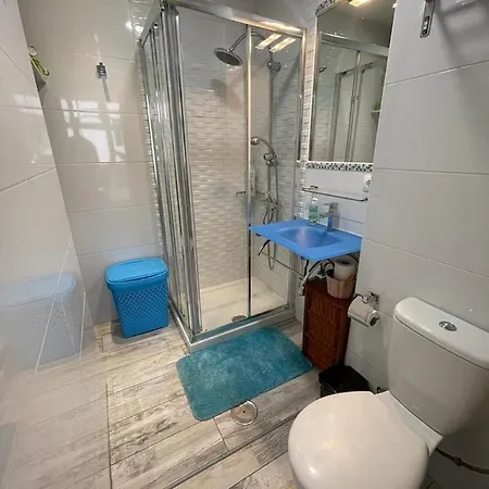 Palmeras 102