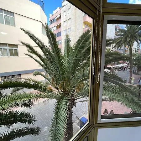 Palmeras 102