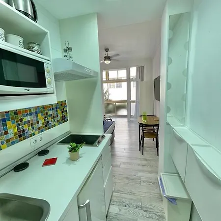 Palmeras 102