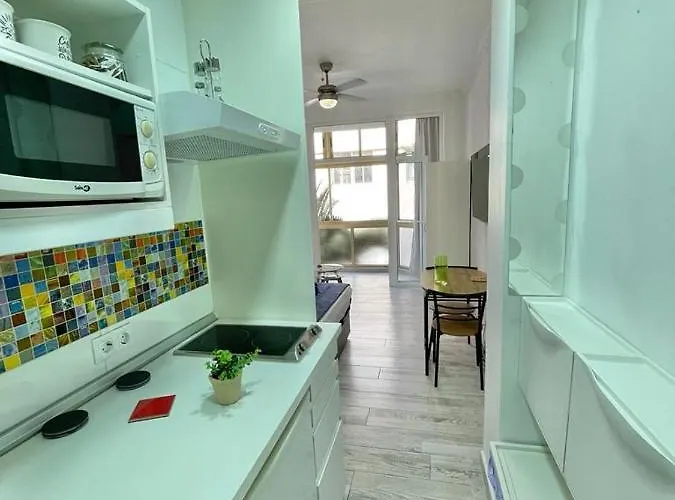 Palmeras 102
