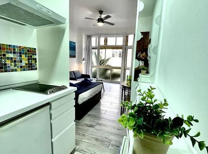 Apartamento Palmeras 102